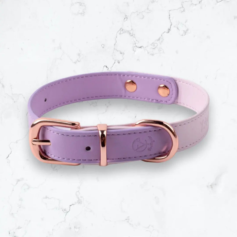 Dual Macaron Colour Dog/Cat Collar YAG Boutique