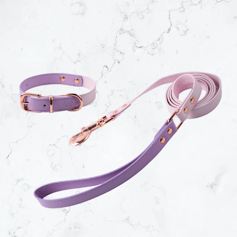 Dual Macaron Colour Dog/Cat Collar YAG Boutique