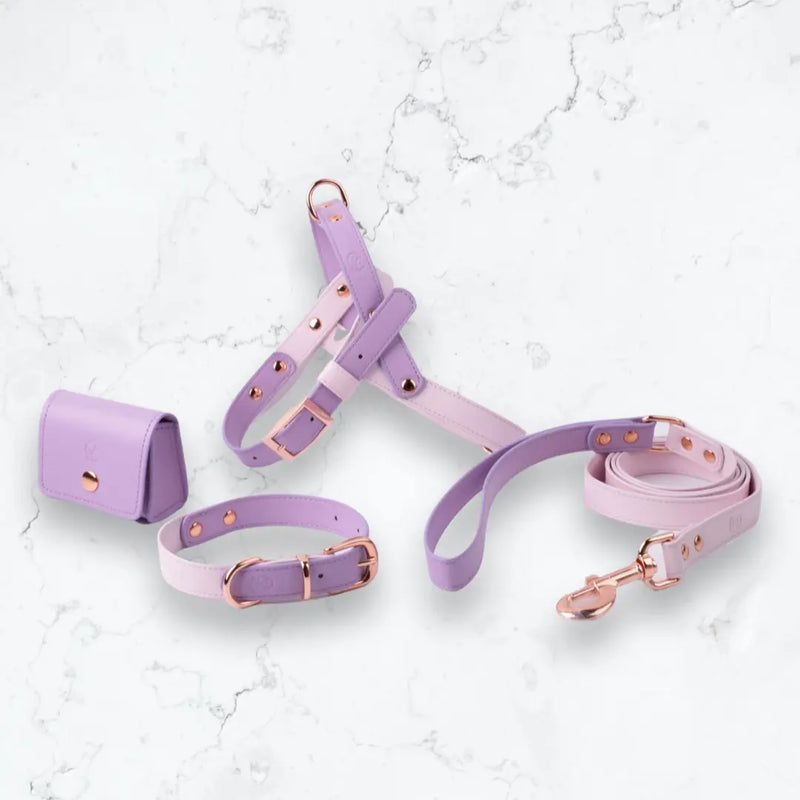 Dual Macaron Colour Dog/Cat Collar YAG Boutique