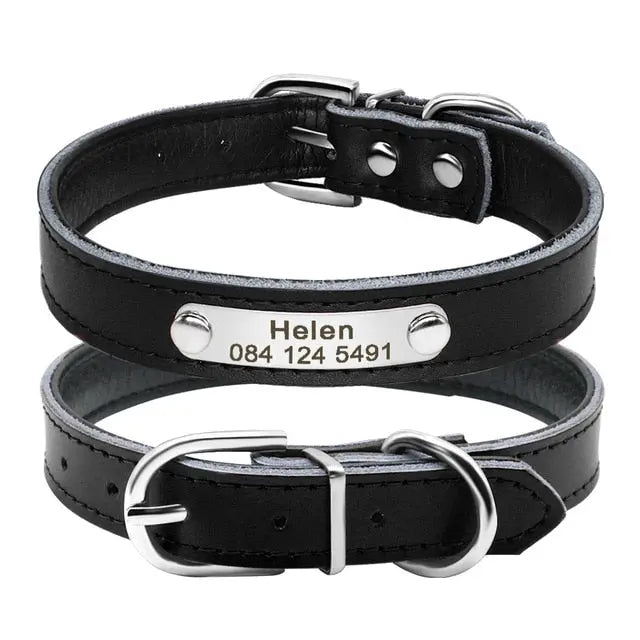 Premium PU Leather Personalised Dog/Cat Collar Yesy All Goods