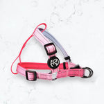 Gradient Coloured with Reflective Line Harness and Leash Set YAG Boutique