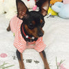 Summer Colour Stripe Dog Vest Shirt Yesy All Goods